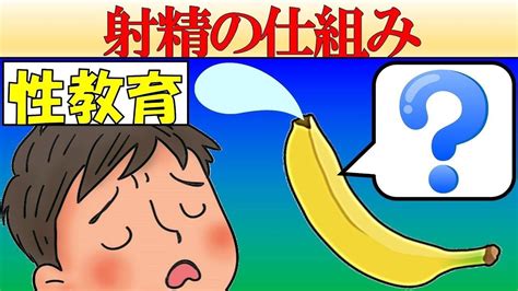 口内射精 心理|口内射精の行為の内容・したこと・されたことのある人の割合